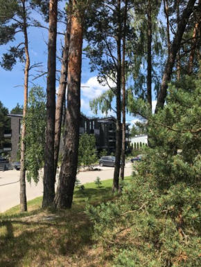 Luxury harmony in Vanagupe in Palanga